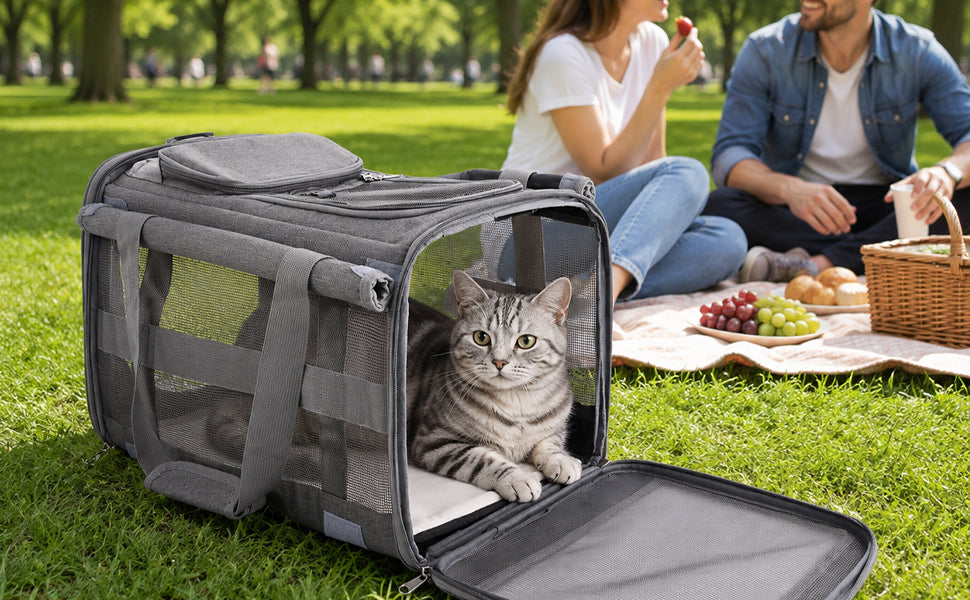Fatato Cat Carrier for Cats and Dogs up to 15lbs, Soft-Sided Breathable Pet Travel Carrier with Foldable Bowl, Pet Carrier with Washable Cushion and Adjustable Shoulder Strap